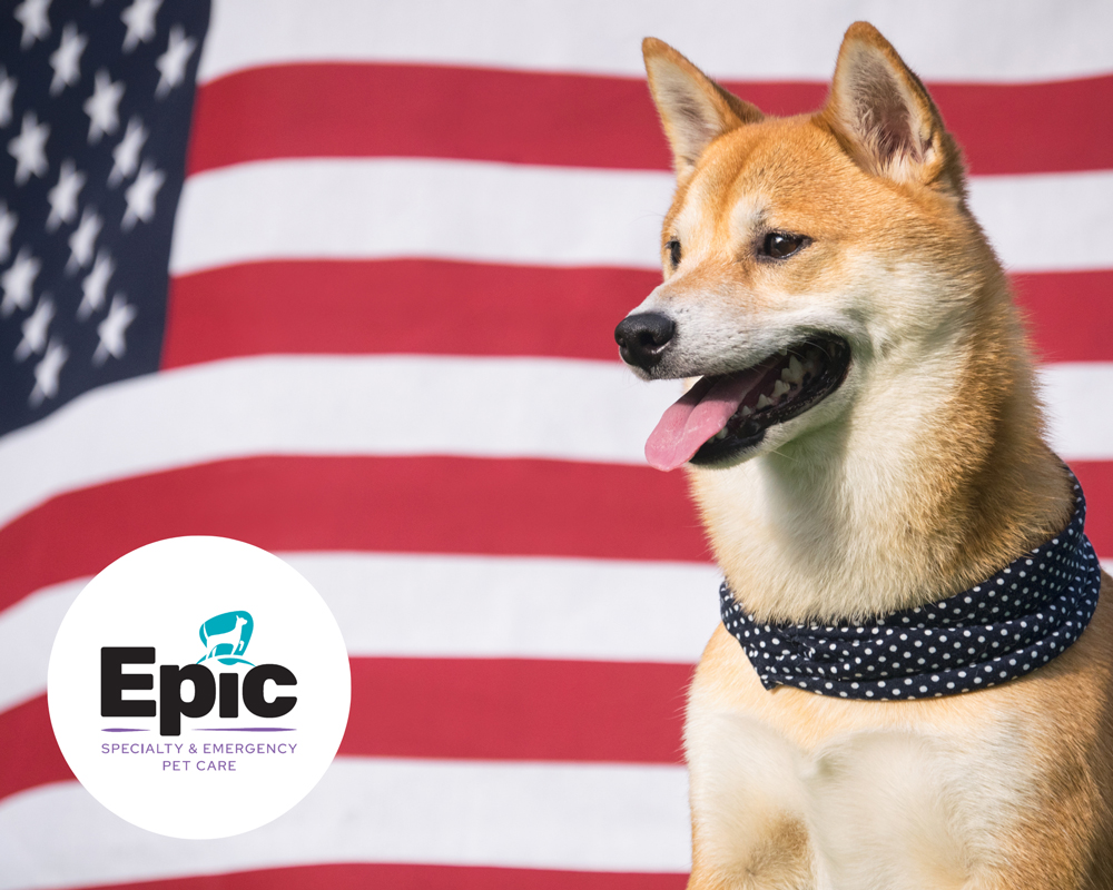 A Shiba Inu dog wearing a polka-dot bandana sits in front of a U.S. flag. The Epic Specialty & Emergency Pet Care logo is in the bottom left corner.