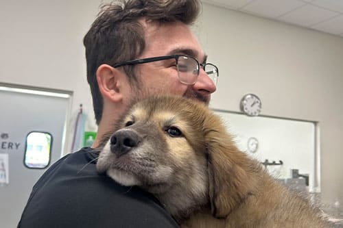 A man with glasses smiles while hugging a fluffy brown puppy in an indoor setting with white walls and a clock in the background.