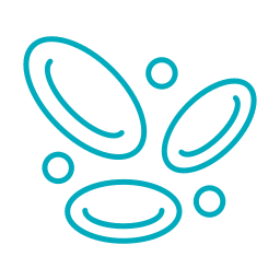 Simple blue line drawing of three oval shapes and three small circles on a light gray background, representing stylized red and white blood cells—ideal for Emergency Vet or Pet ER educational materials.