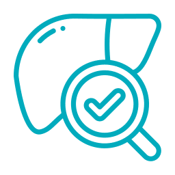 Blue outline of a liver with a magnifying glass over it, containing a check mark, symbolizing liver health or a successful checkup at a Vet or Pet ER.