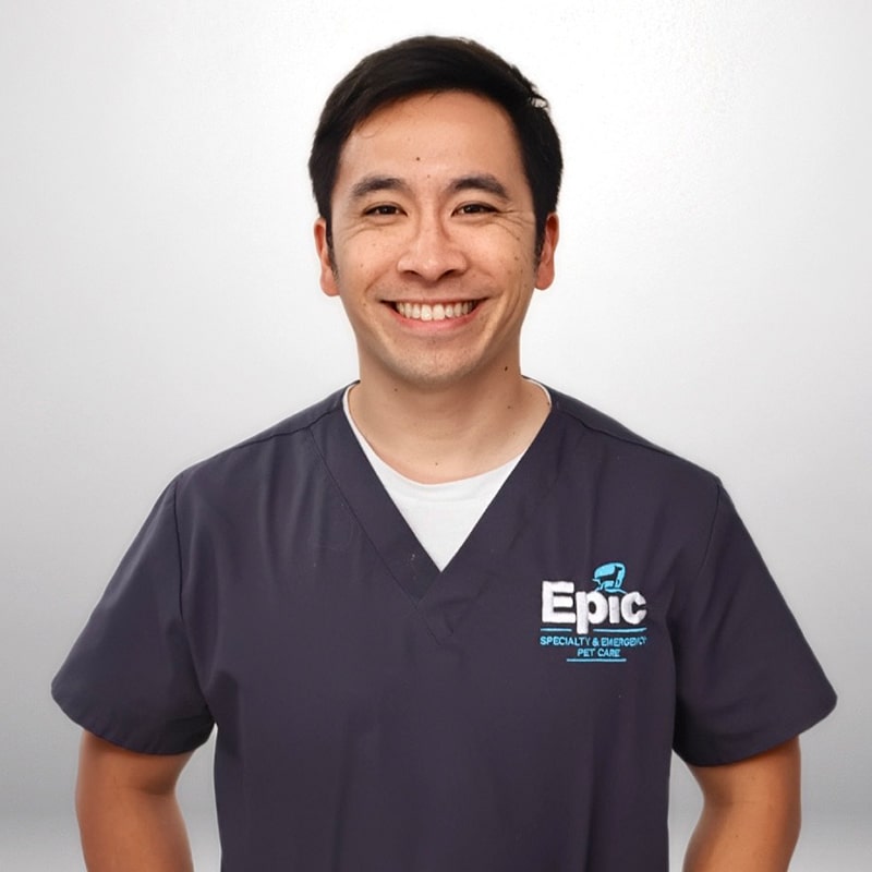Kenny Siu, veterinary team member at Epic Specialty & Emergency Pet Care

