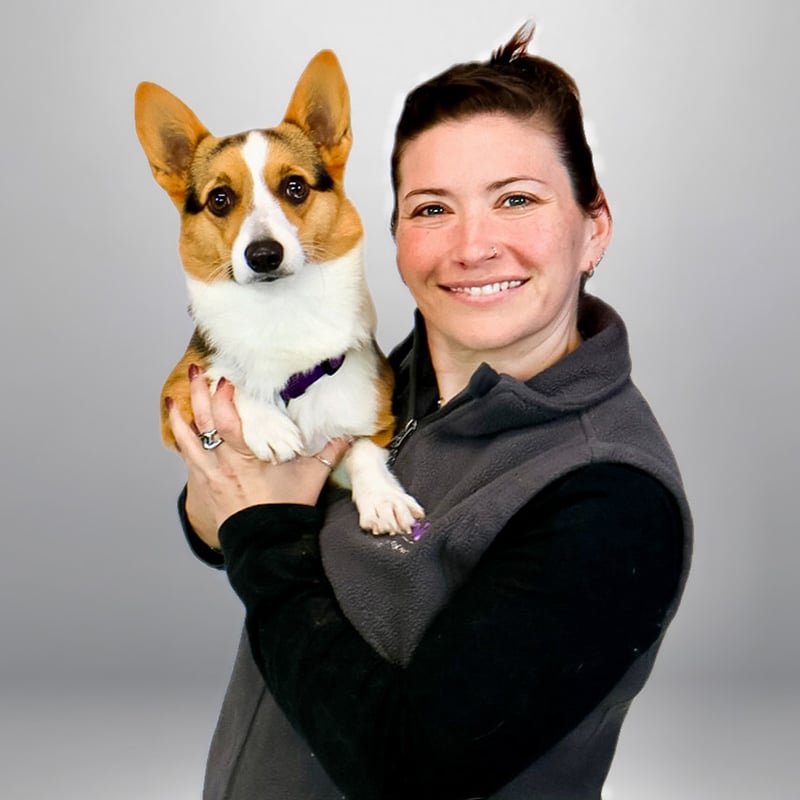 Meg L., veterinary team member at Epic Specialty & Emergency Pet Care in St. Petersburg FL