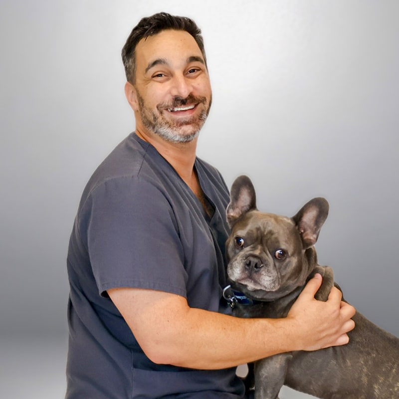 Michael, veterinary team member at Epic Specialty & Emergency Pet Care in St. Petersburg FL