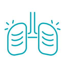 Blue line drawing of a pair of lungs with a trachea in a simple, stylized design on a light background—perfect for illustrating veterinary concepts in an Emergency Vet or Pet ER setting, with curved lines inside to represent airways.