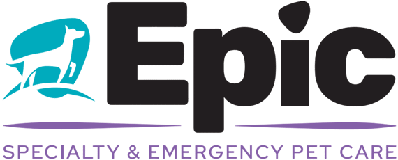 Logo for Epic Specialty & Emergency Pet Care, featuring a white dog silhouette in a turquoise shape to the left of the word "Epic" in bold black letters, with purple text below.